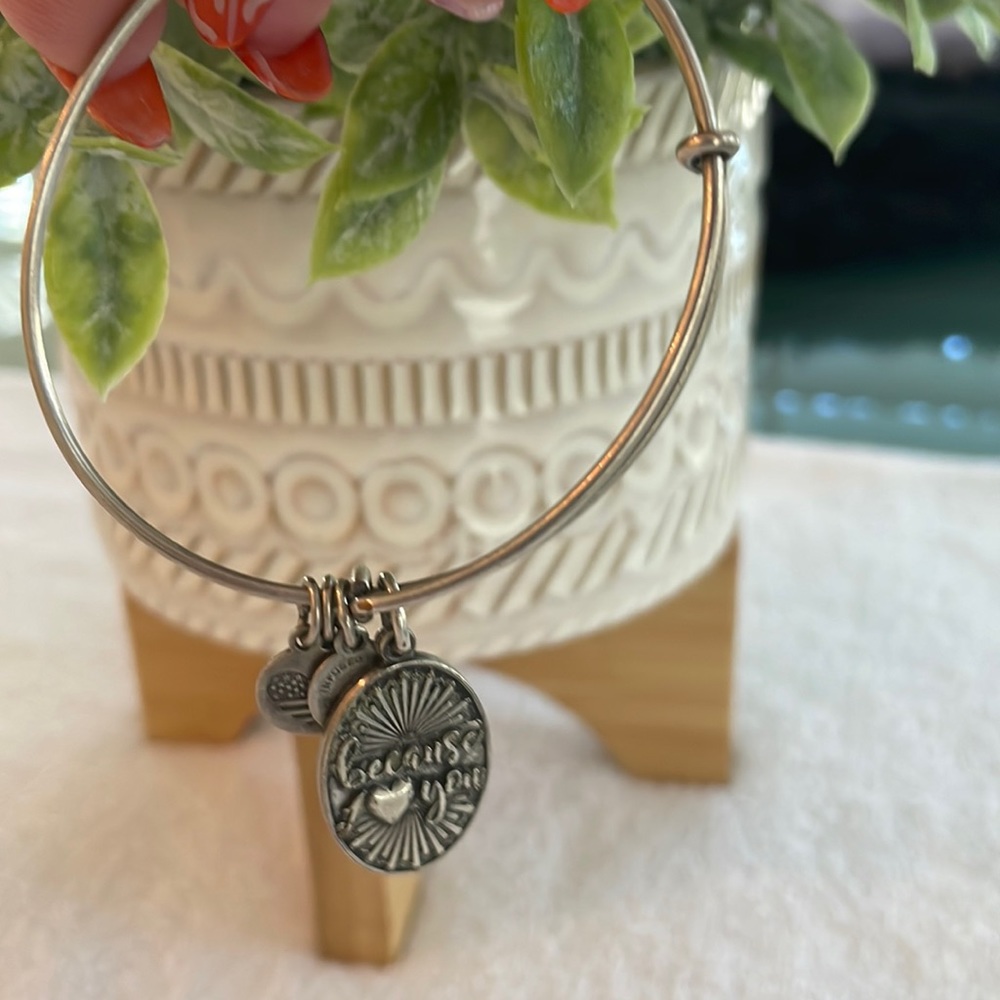 Alex And Ani Silver Because I Love You Charm Bangle Bracelet Silver Toned GUC